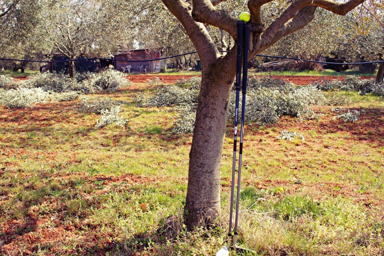Blue Deer Daire Umag Dış mekan fotoğraf