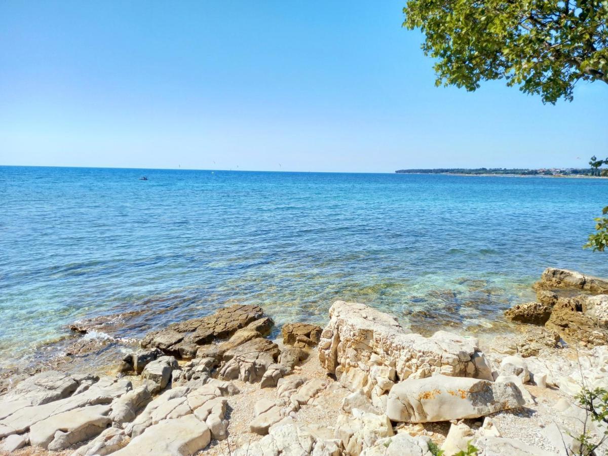 Blue Deer Daire Umag Dış mekan fotoğraf