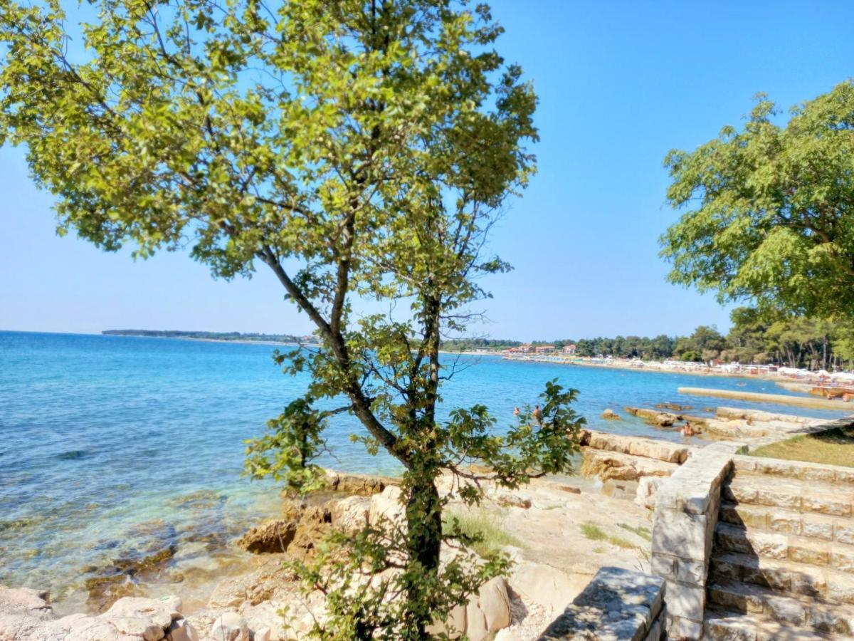 Blue Deer Daire Umag Dış mekan fotoğraf