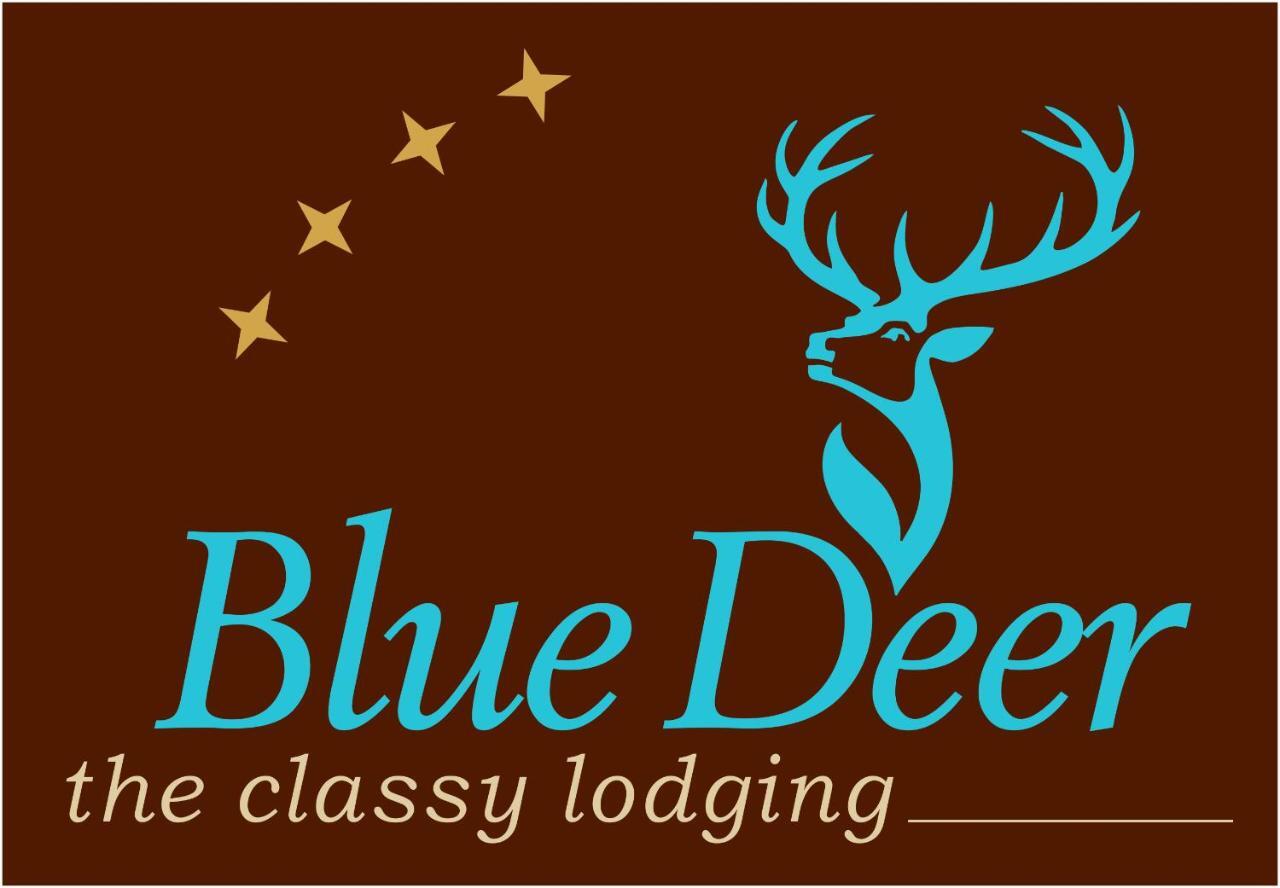 Blue Deer Daire Umag Dış mekan fotoğraf